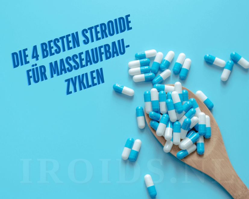 Die 4 besten Steroide