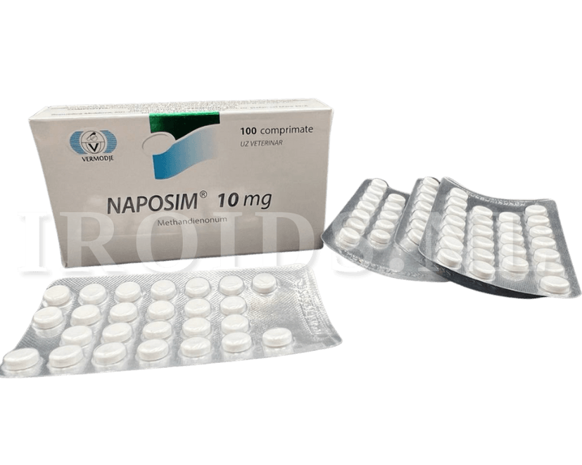 Vermodje Naposim Methandienone 10mg (100 tabs)