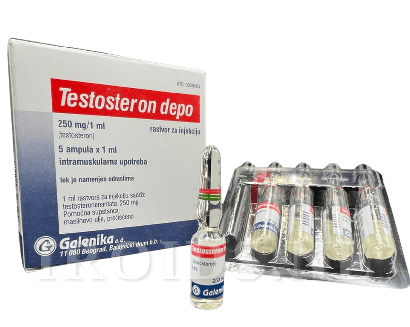 Testosterona depo Testosterona Enantato 1ml x 5 ampollas (250mg)