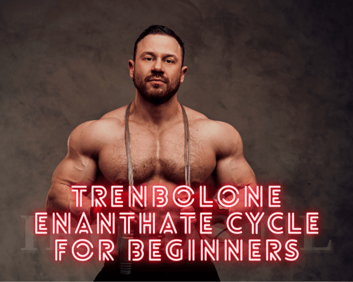 Trenbolone Enanthate CYCLE.png