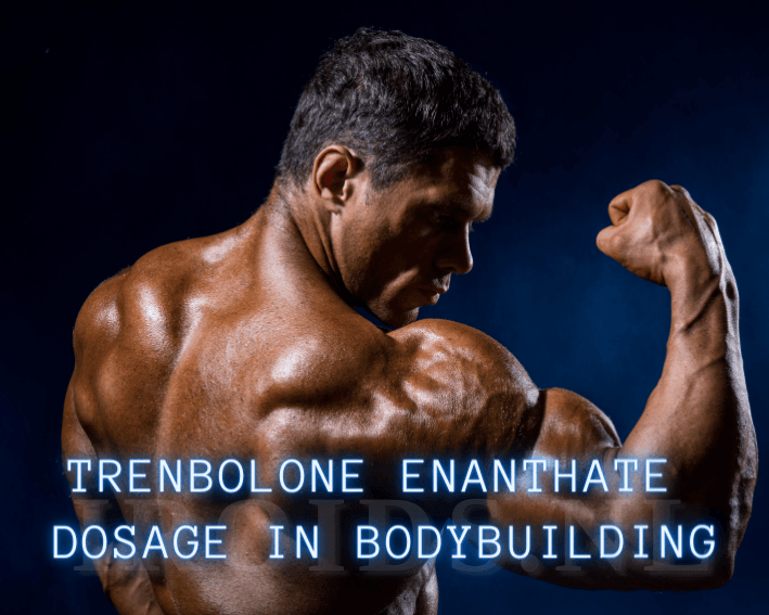 Trenbolone Enathate dosage in bodybuilding.png